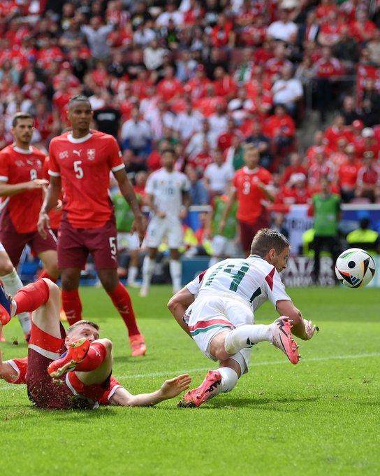 1718462317143053352.jpg 1718462286478.jpg